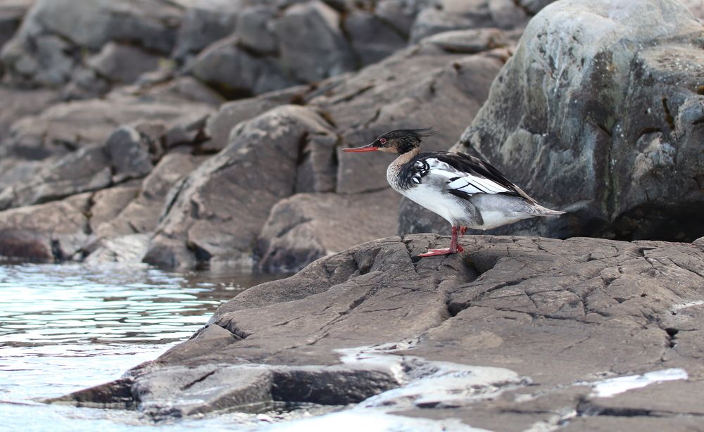 Photograph by Екатерина