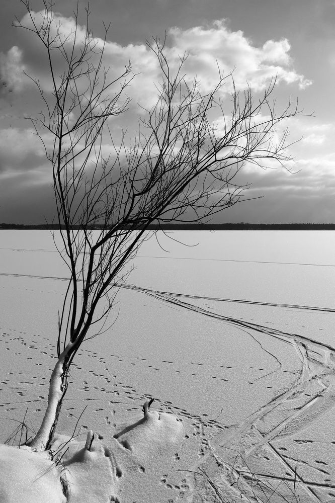 Photograph by Olga Weinberger