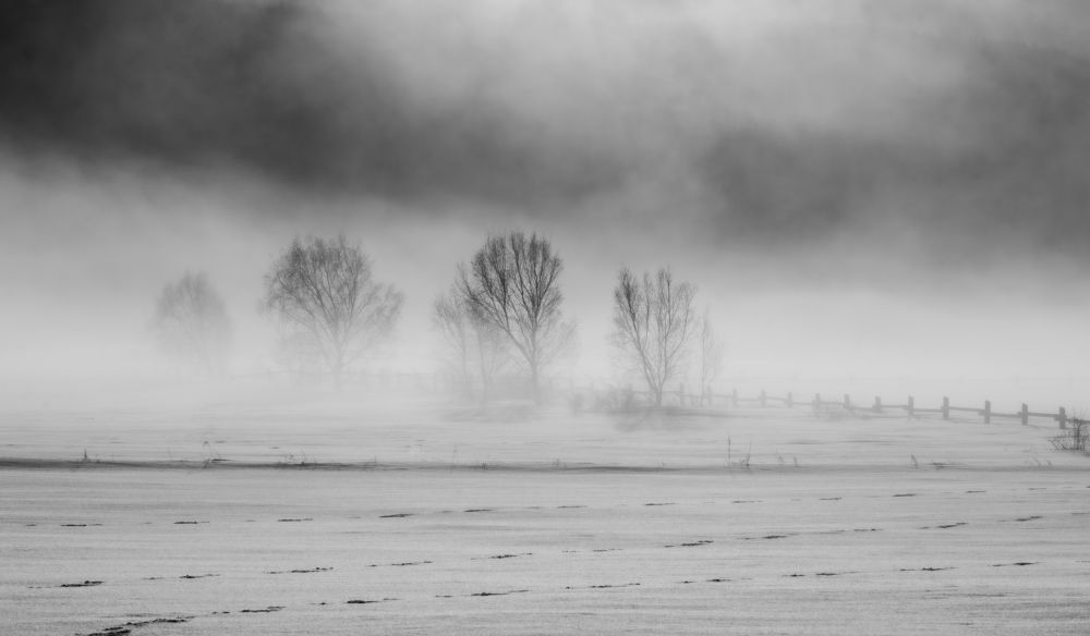 Photograph by Владимир