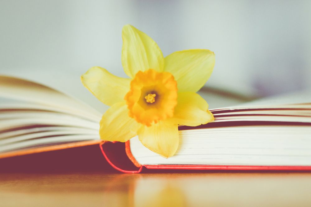 Photograph by Irina Chekanov