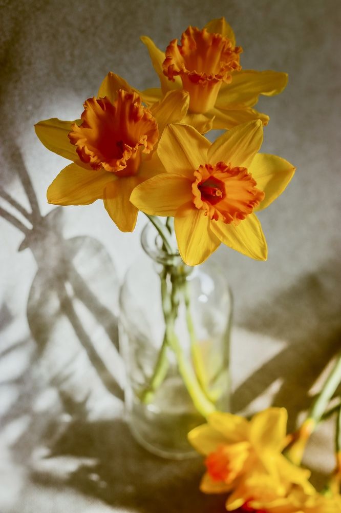 Photograph by Irina Chekanov