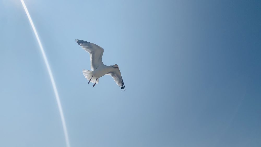 Photograph by Irina Chekanov