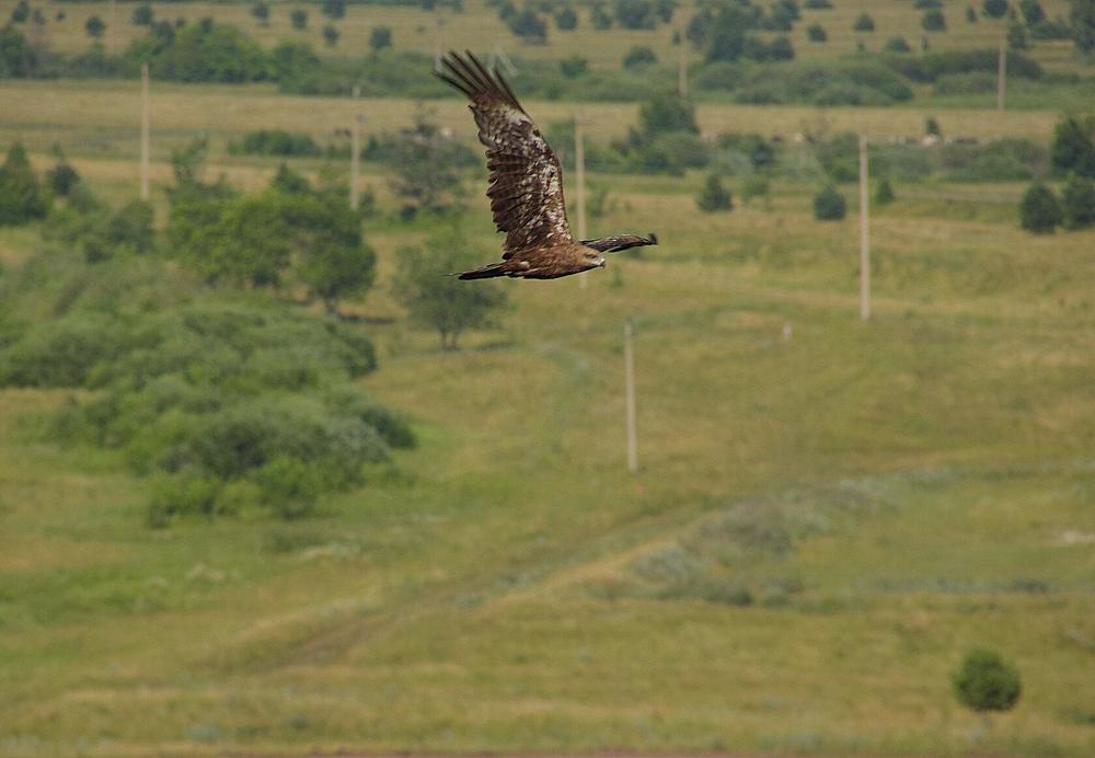 Photograph by Василий Быстрицкий