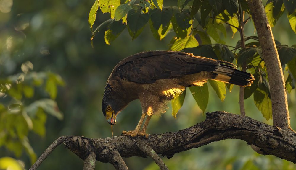 Photograph by Arnav Deshpande