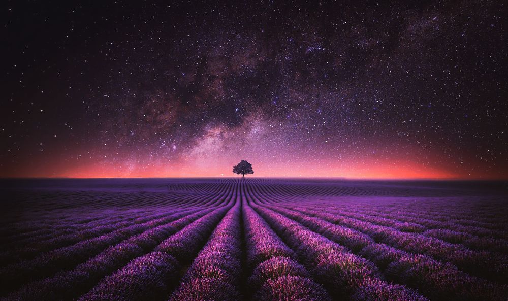 Beautiful star wars.