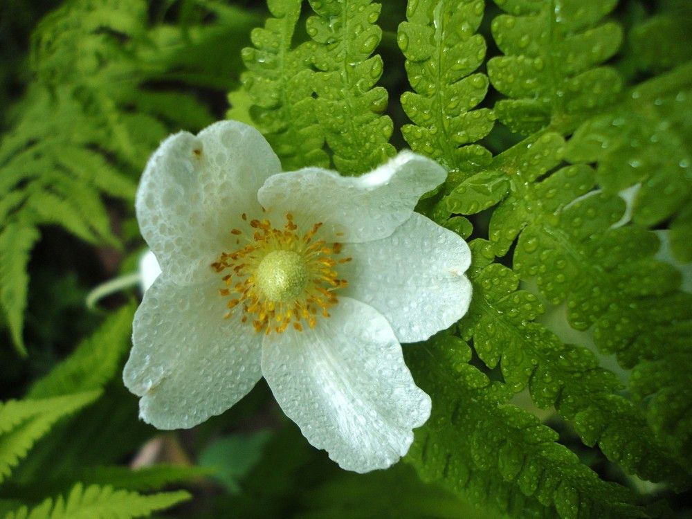 Photograph by Дмитрий Соколов