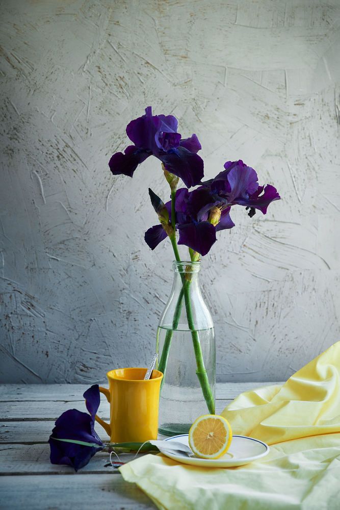 Photograph by Solnce Podgurskaya