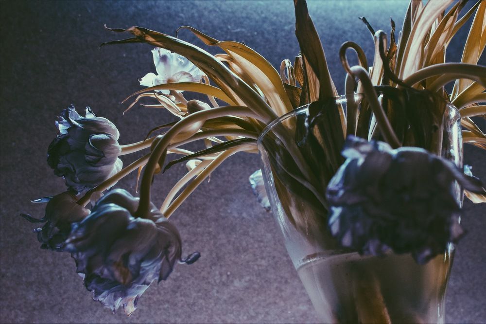 Photograph by Сергей Бойко