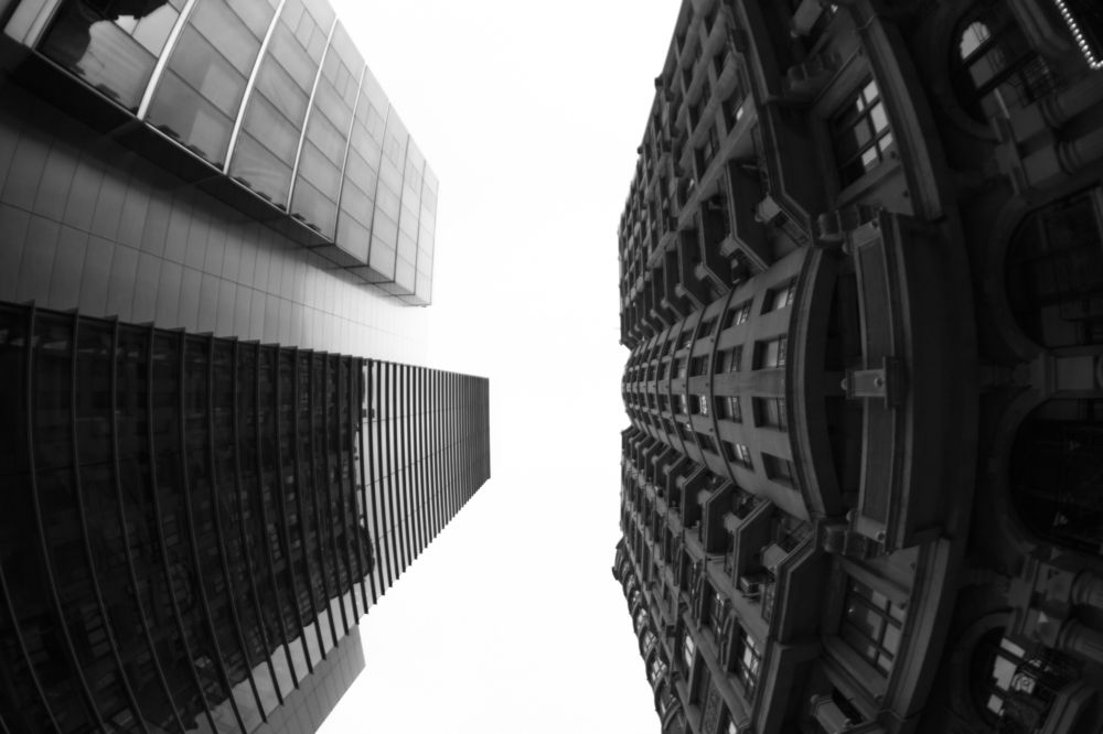 Photograph by Vision Sallys