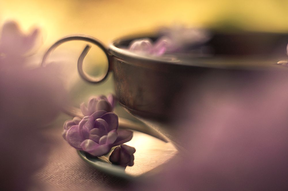 Фотография автора Анжелика