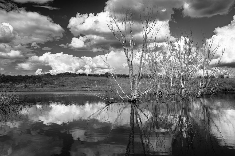 Photograph by Pavel Gusev