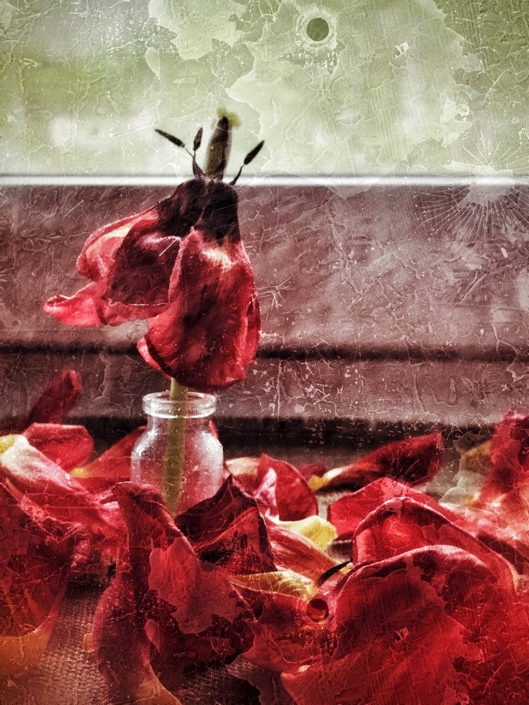 Photograph by Любовь Сухова