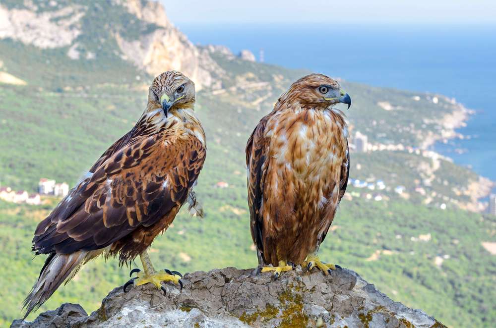 Photograph by Андрей