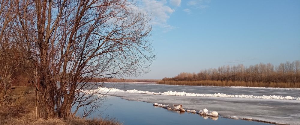 Photograph by Светлана Смирнова (Гридюшко)