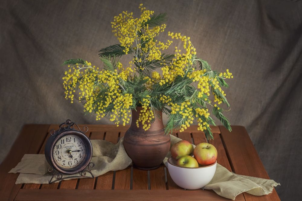 Натюрморт с мимозой.