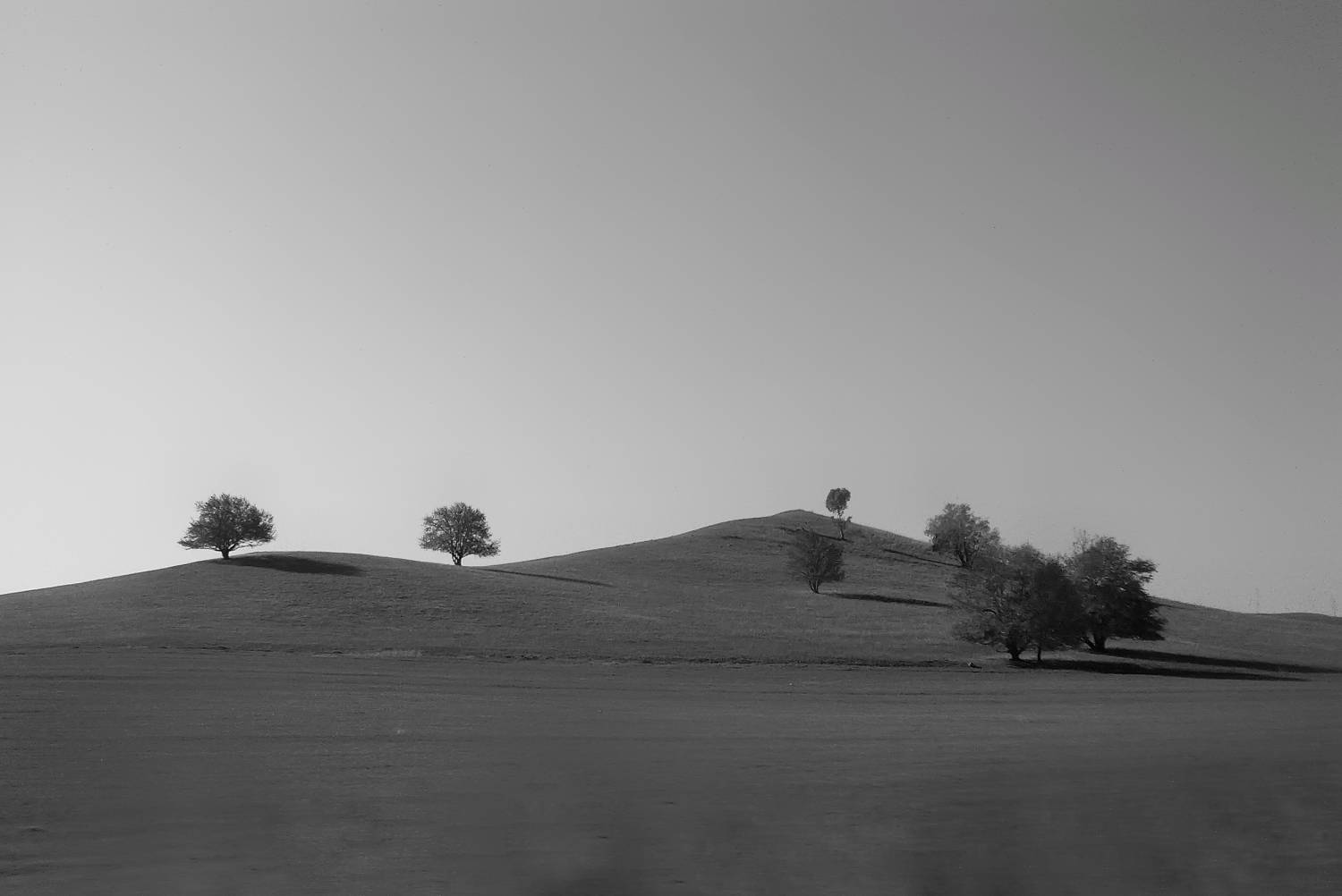 Photo #7748449