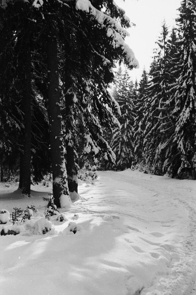 Photograph by Харис Шахмаметьев