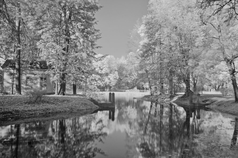 Photograph by Харис Шахмаметьев