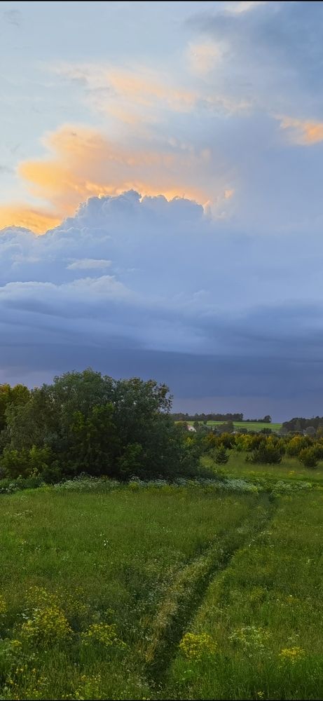 Photograph by Игорь Кошмяков
