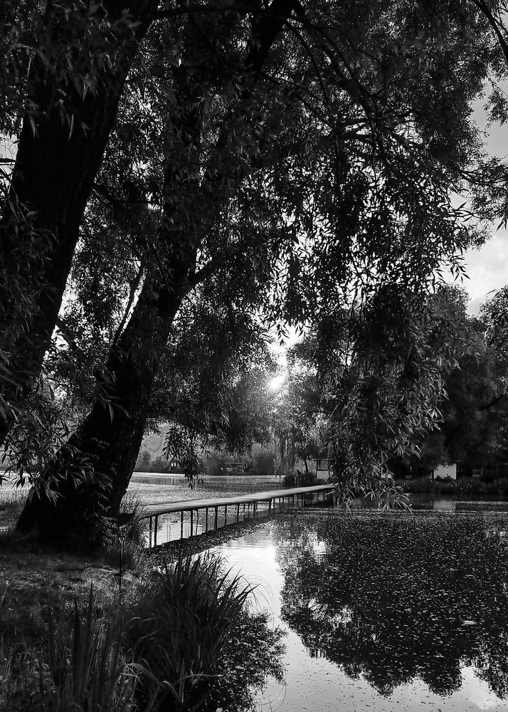 Photograph by Екатерина Воротникова