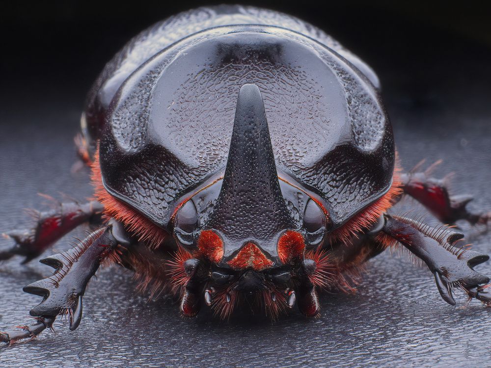 Photograph by Chen-You Li