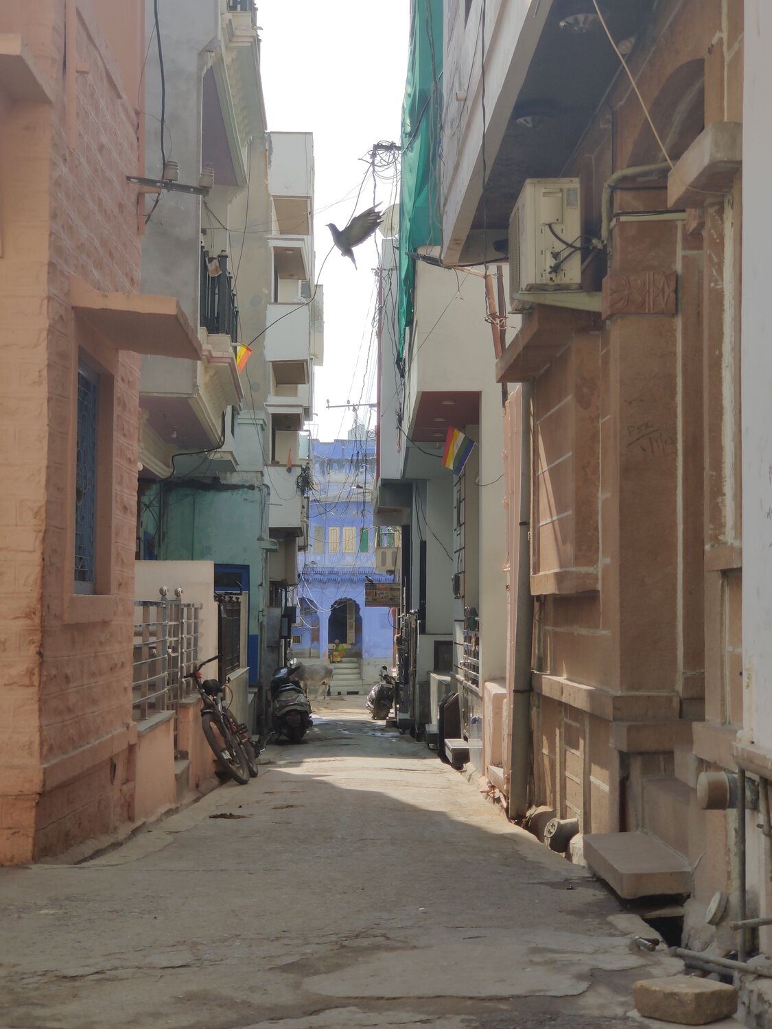 Photo #7748595