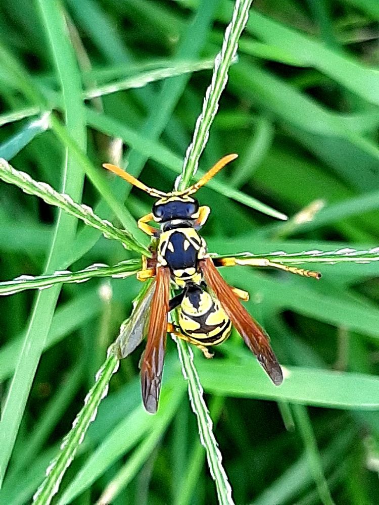 Photograph by virgilija61 Motejunaite