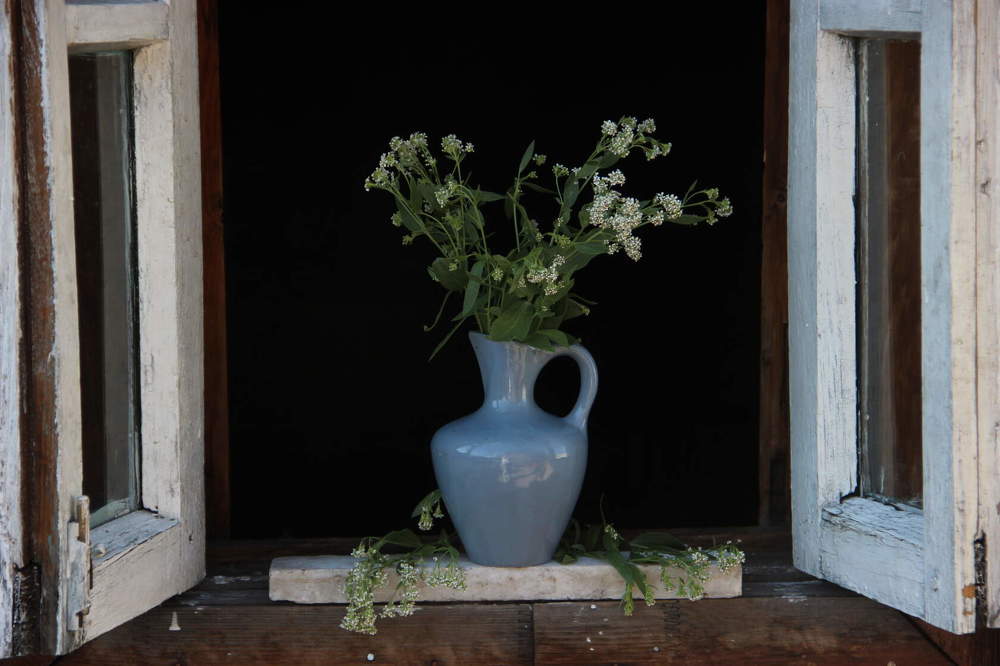 Photograph by Алина