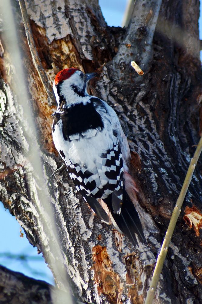 Photograph by Andrey