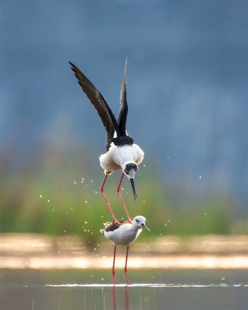 Photograph by Tushar Ambadkar