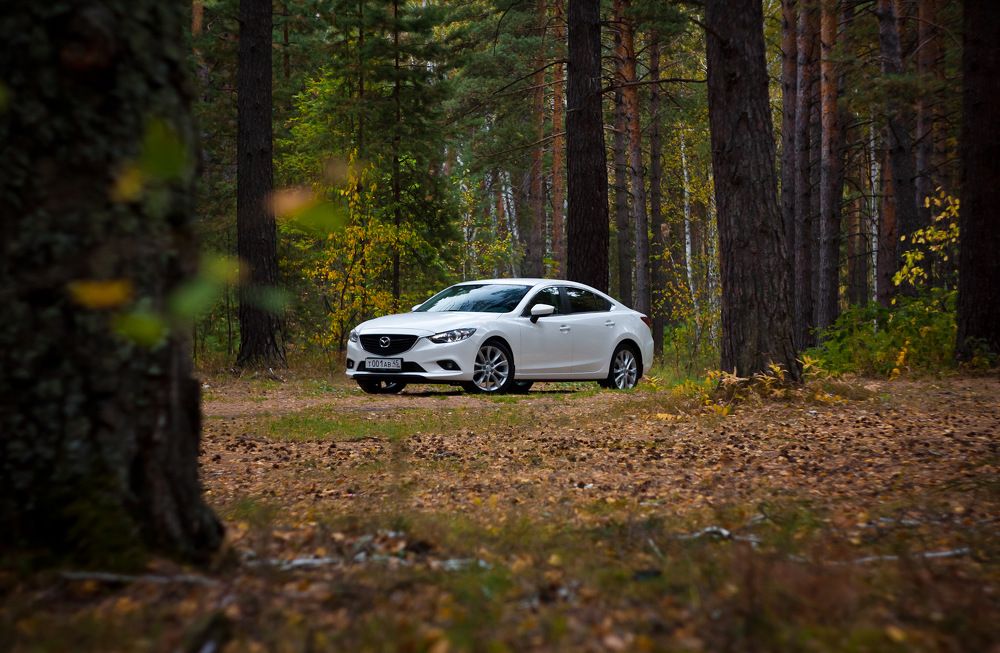 Photograph by Олег Терешкин