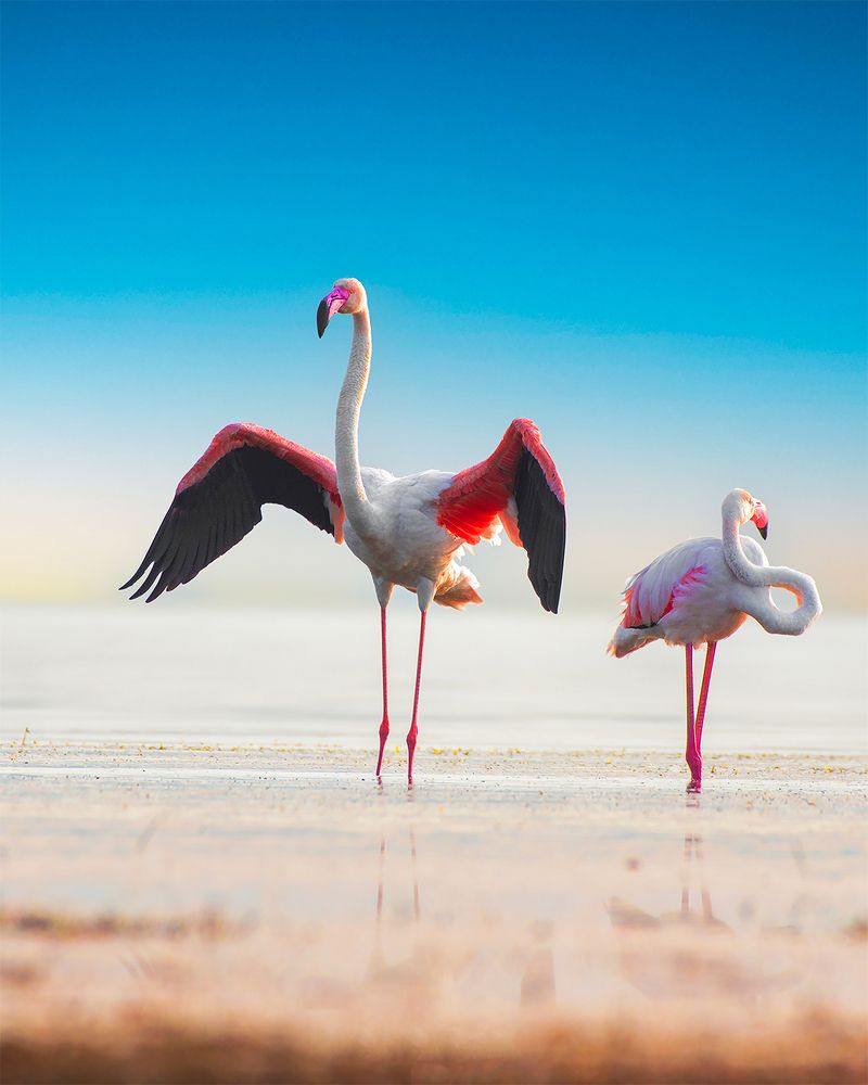 Photograph by Tushar Ambadkar