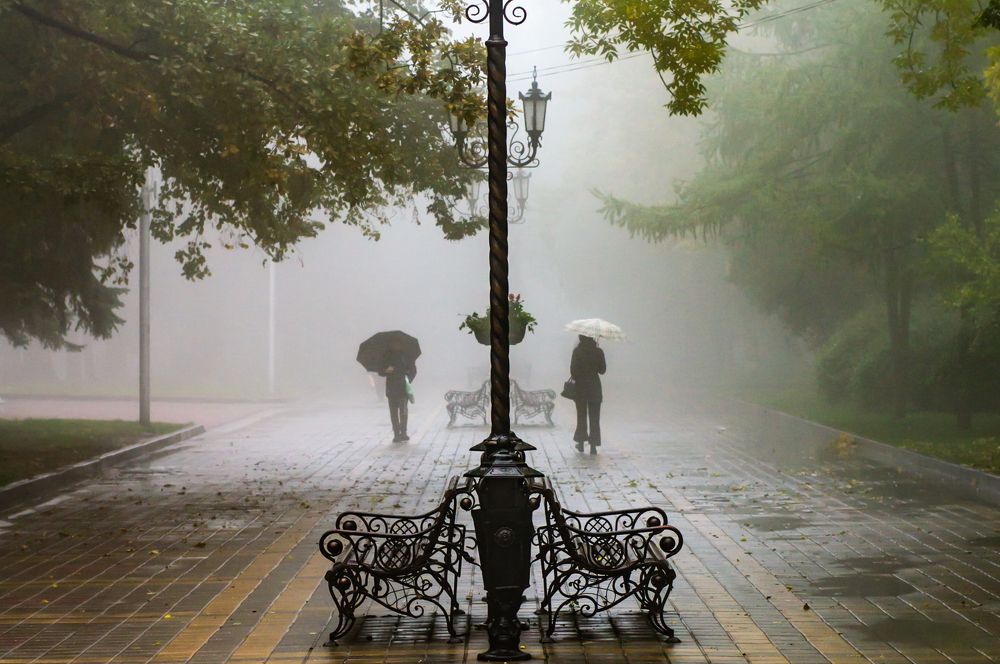 Photograph by 