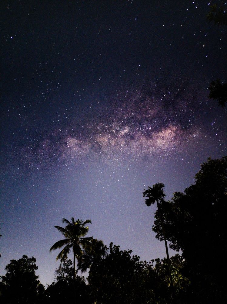 Photograph by GOVIND VISWANATH