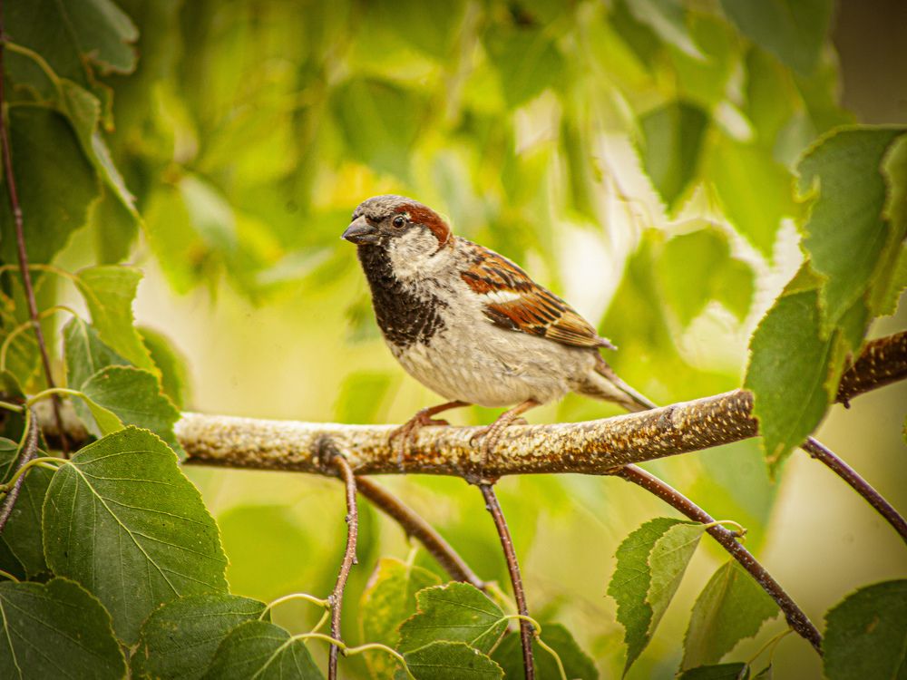 Photograph by Виталий Абдразаков