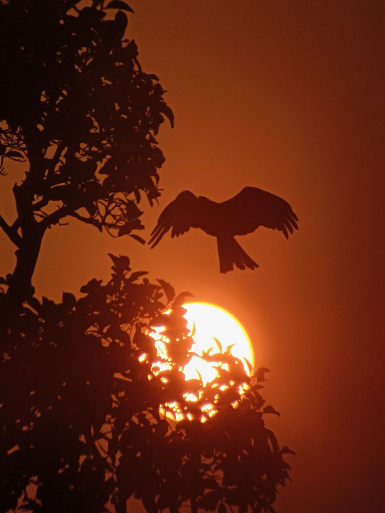 Photograph by GOVIND VISWANATH