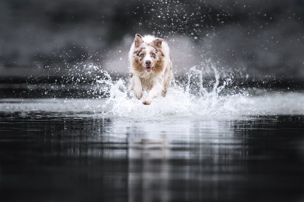 Photograph by Melissa