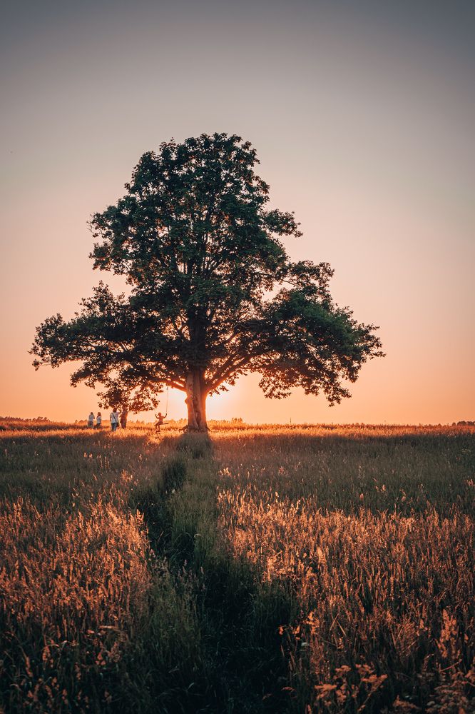 Photograph by Андрей Смирнов