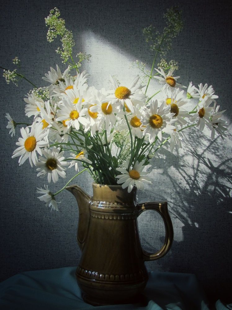 Photograph by Наталия Степанова