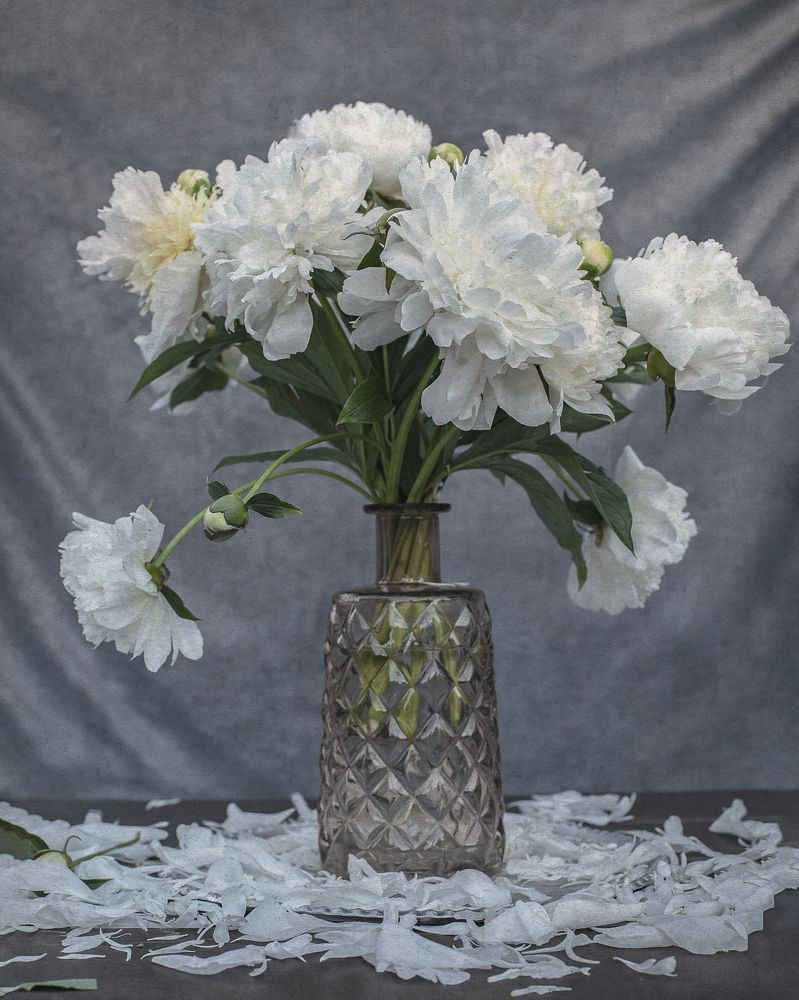 Photograph by Вера Голицына