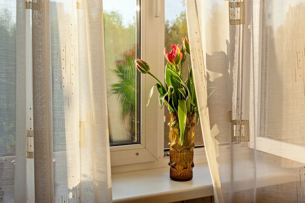 Тюльпановое утро