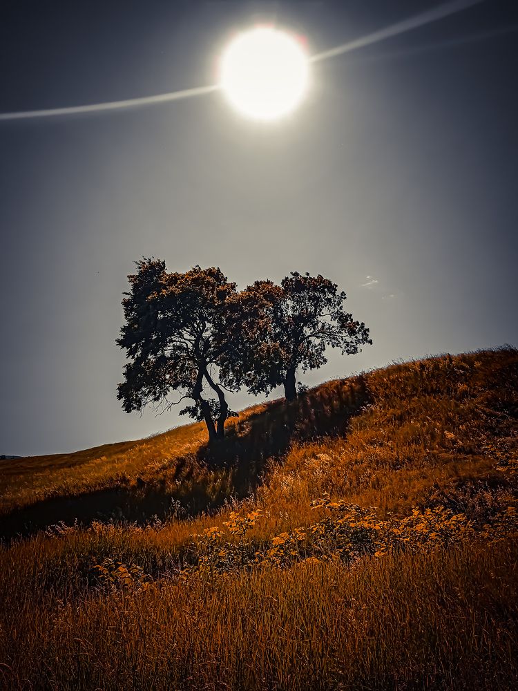 Photograph by Алекс