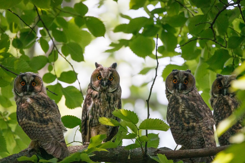 Фотография автора Сыч Римма