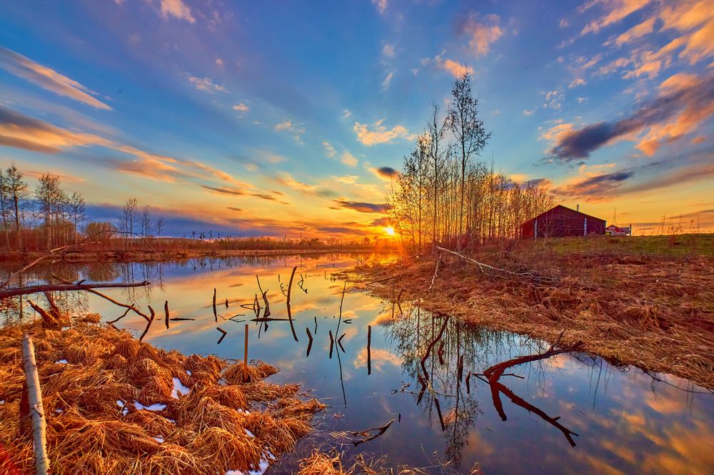 Photograph by Дмитрий Пасынков