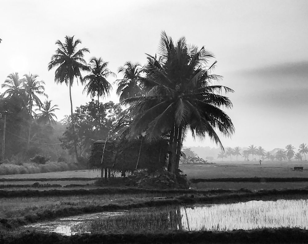 Photograph by Avishka Perera