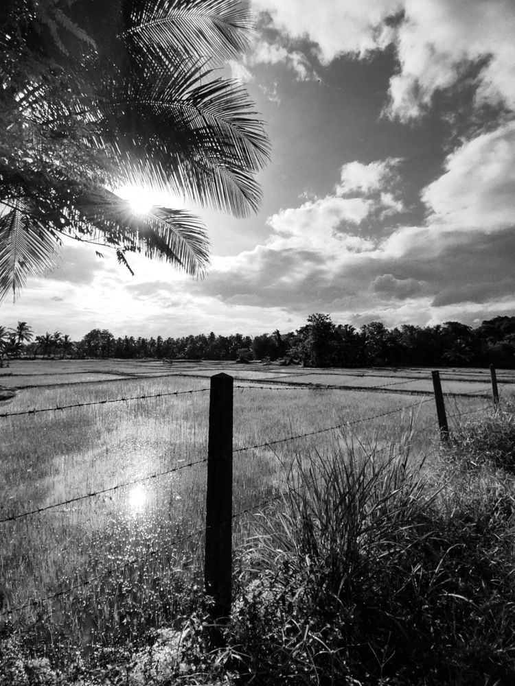 Photograph by Avishka Perera