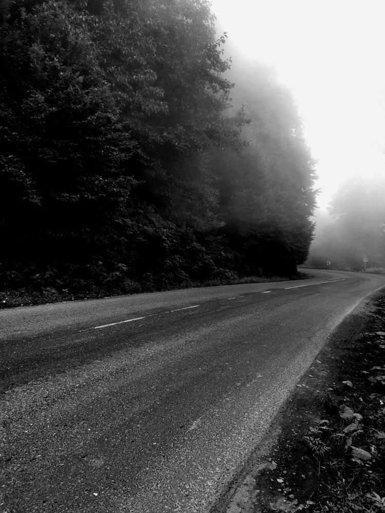 Photograph by Arman Tolieh