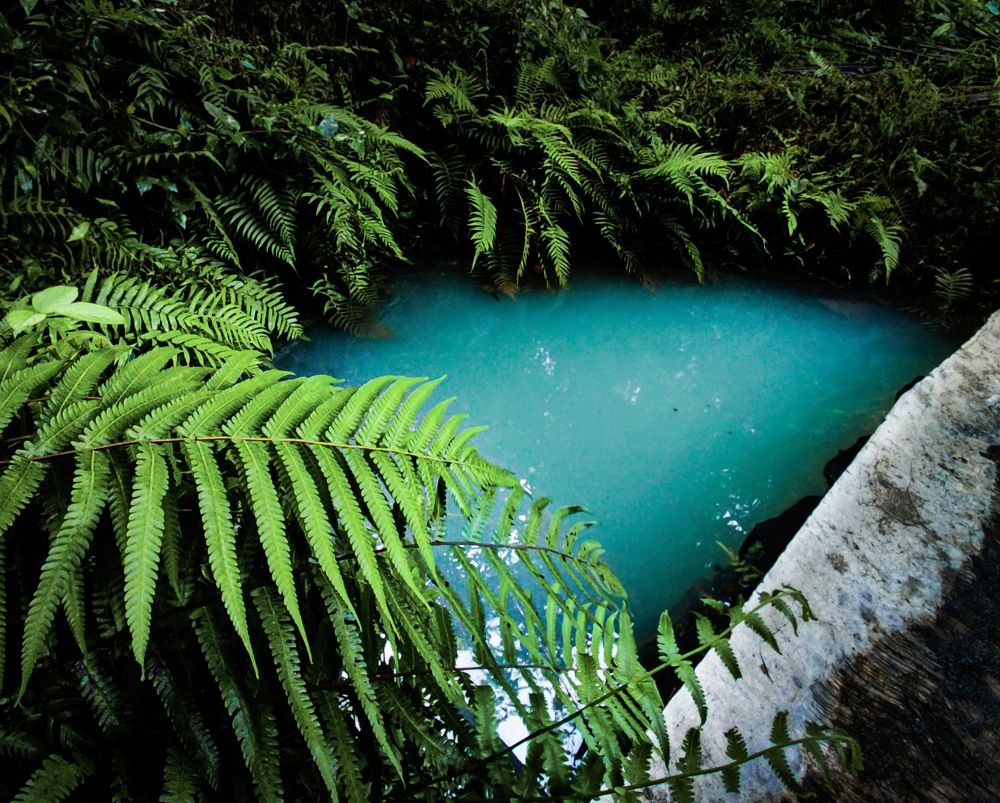 Photograph by Avishka Perera