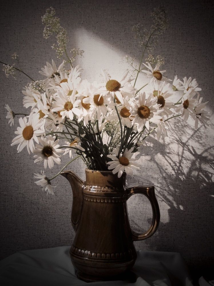 Photograph by Наталия Степанова