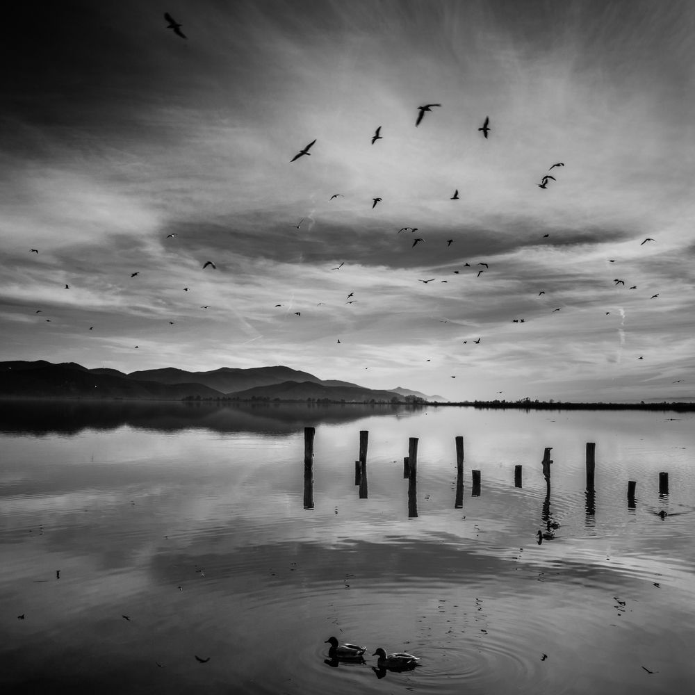 Фотография автора Claudio Sericano